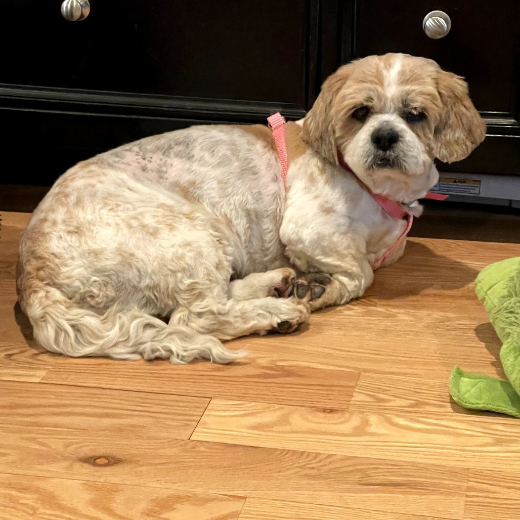 Elsie