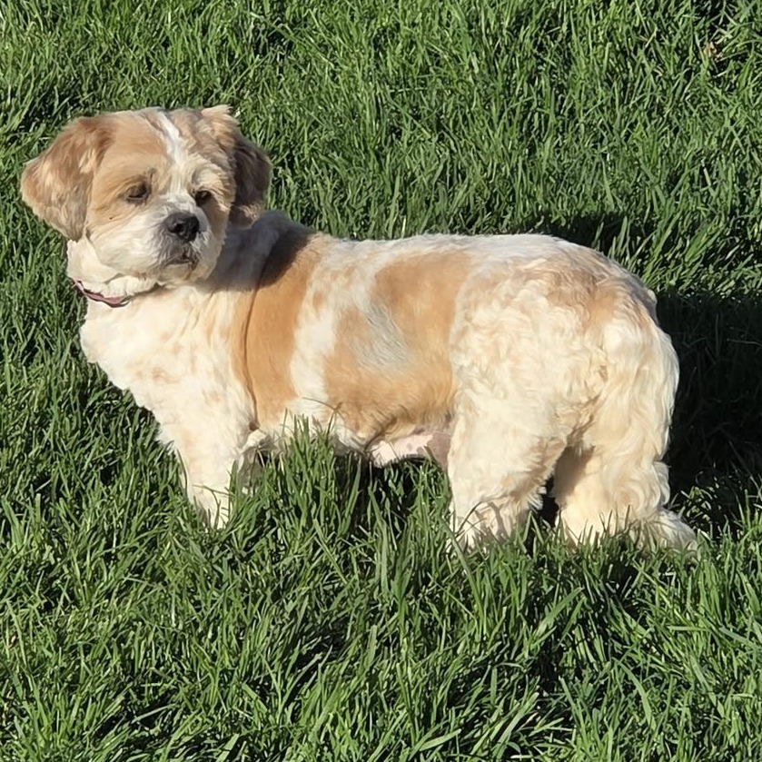 Elsie