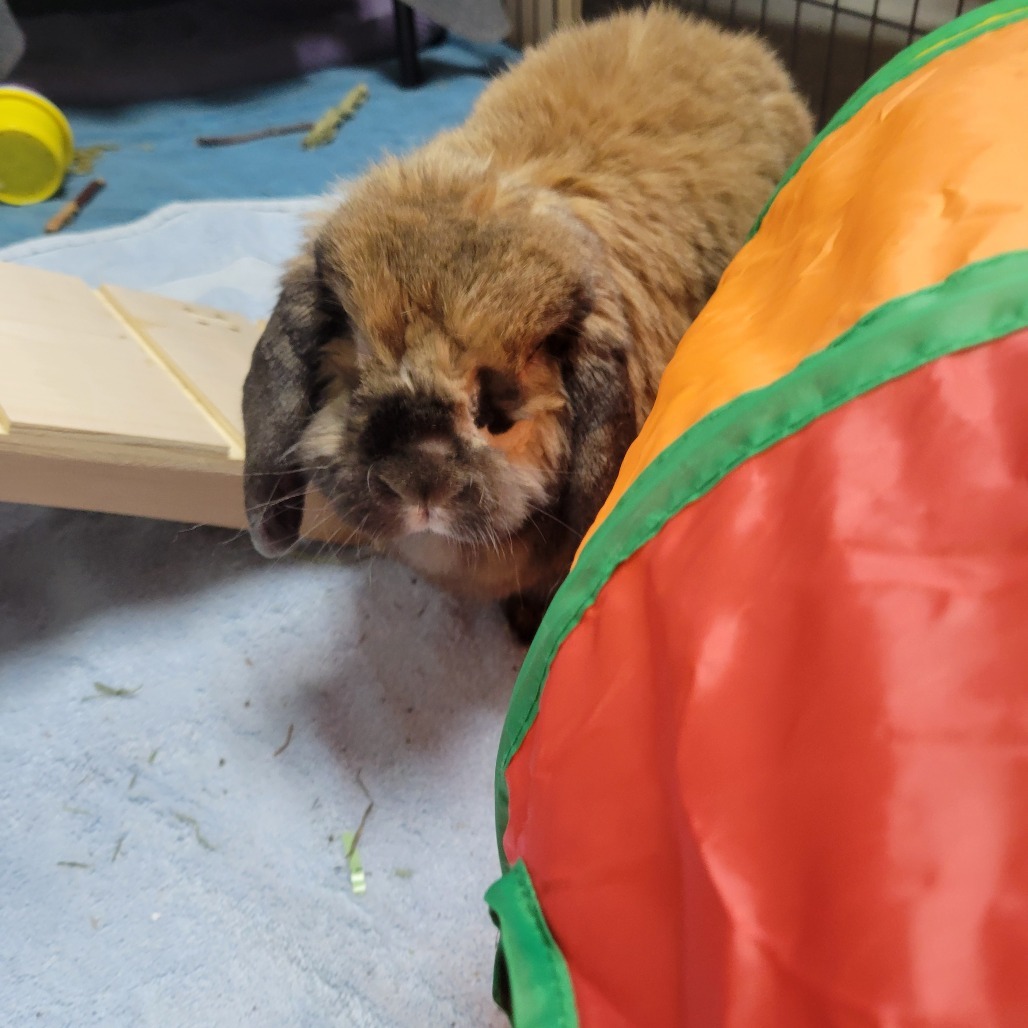 Charlie