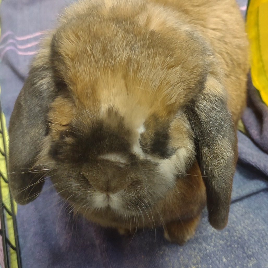 Charlie