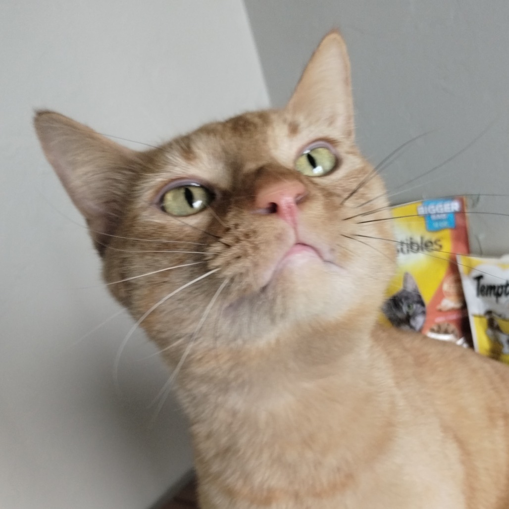 Nugget