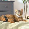 Molly photo 2