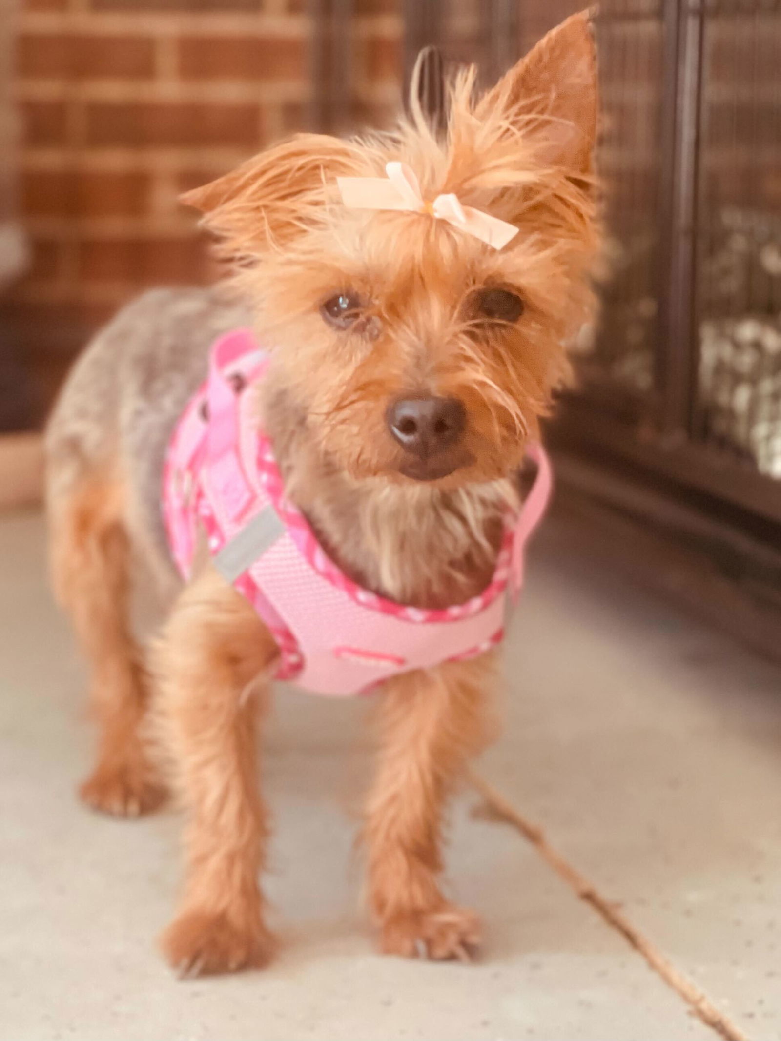 Gracie Mar 25