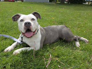 Chobani, Young Female unknown