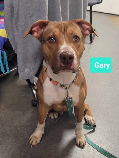 Gary-Sponsored