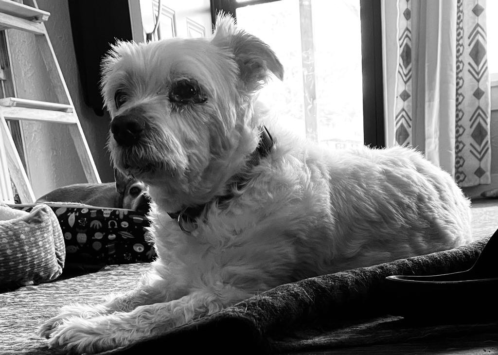 Murphy