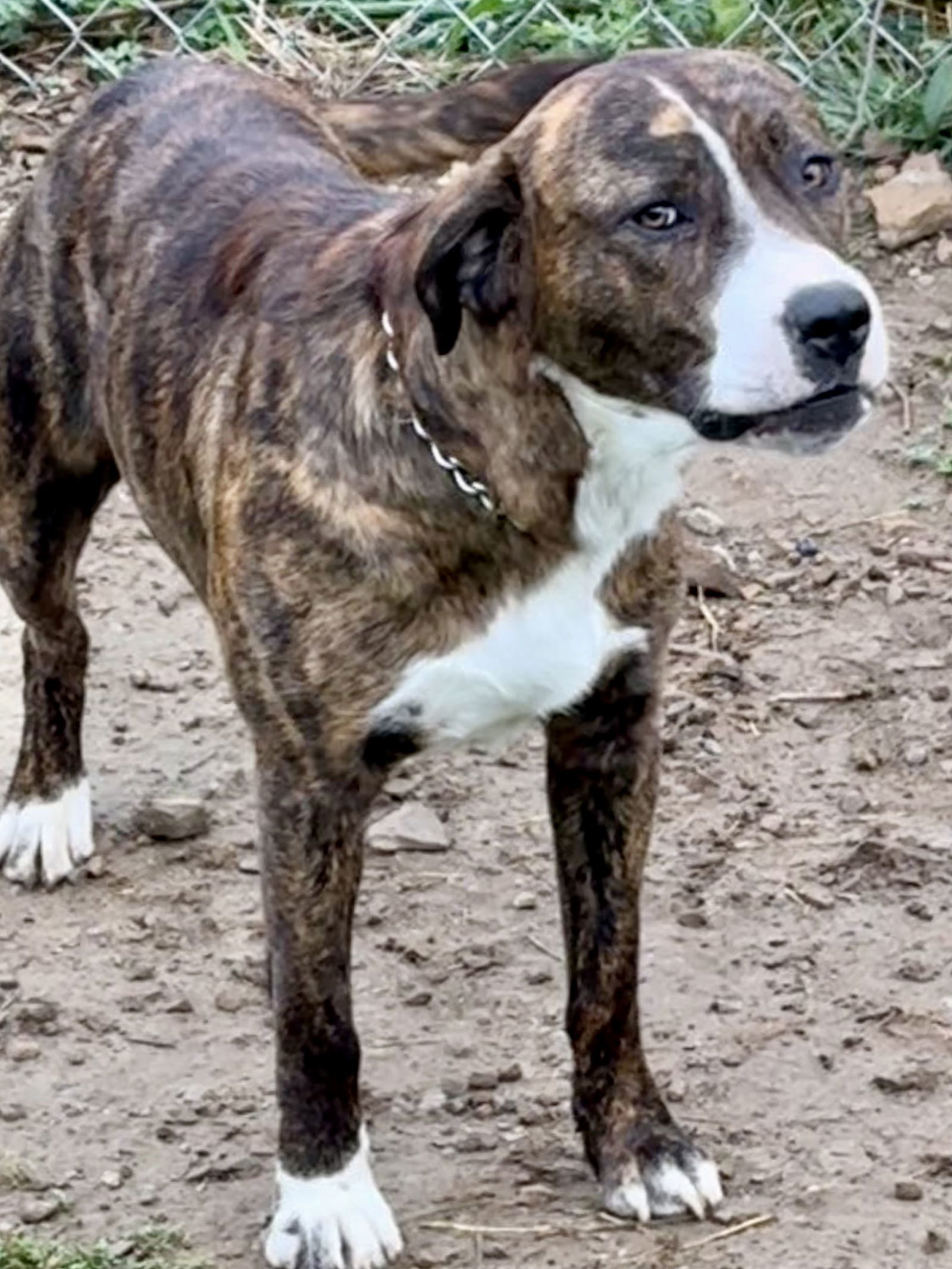 ROSCO