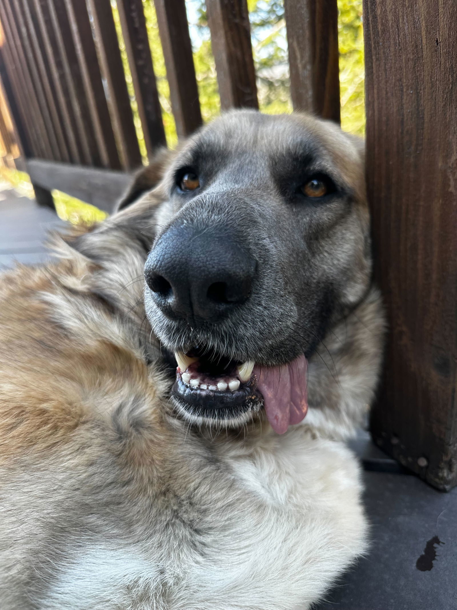 Ellie