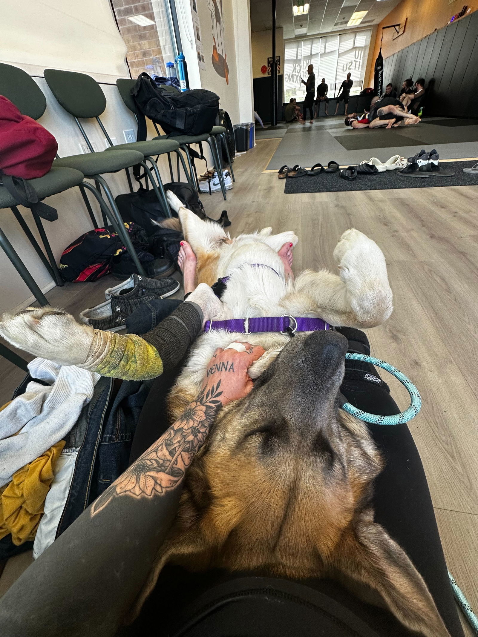 Ellie