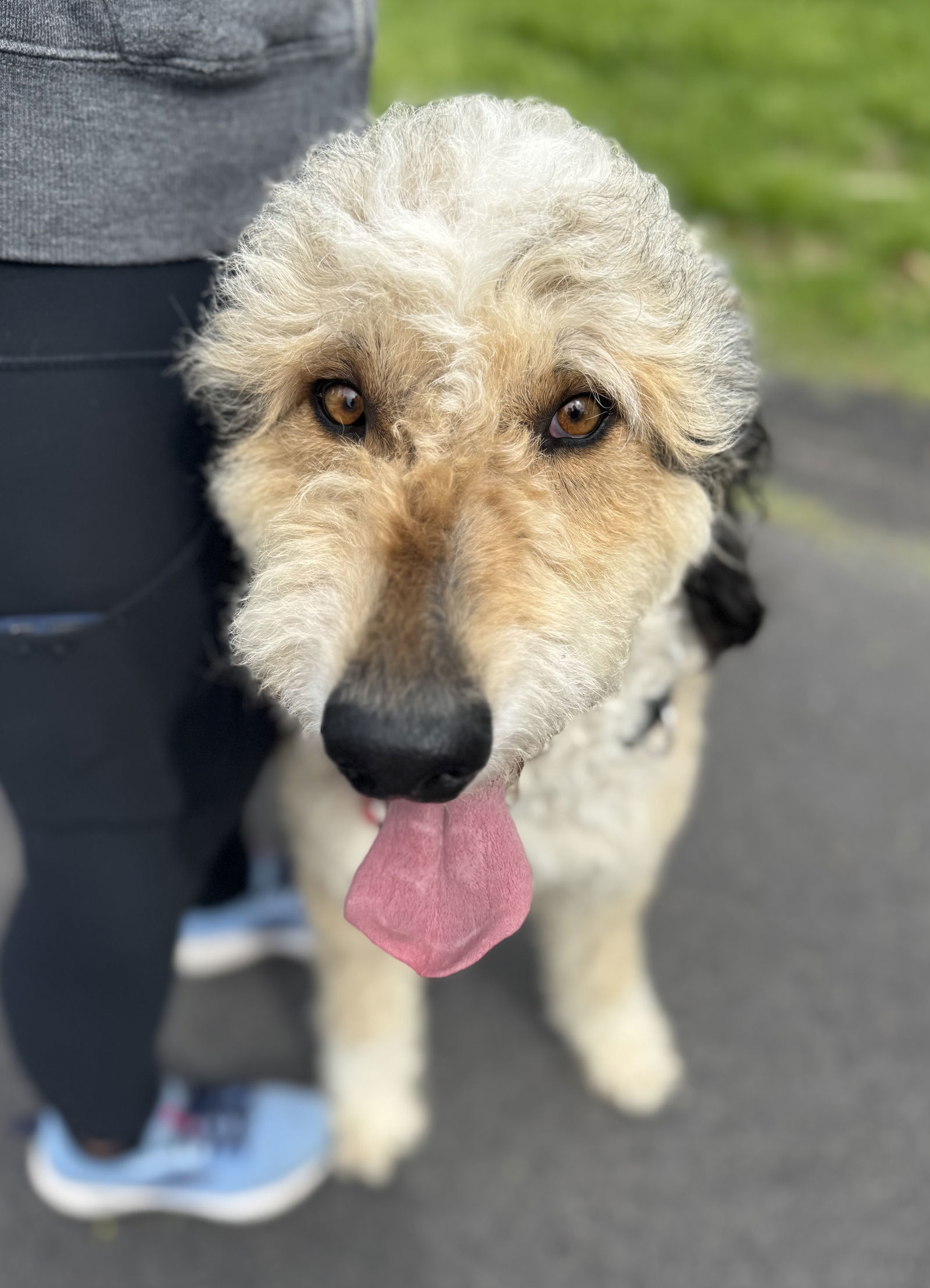 Thor *LOCAL* MEET ME!