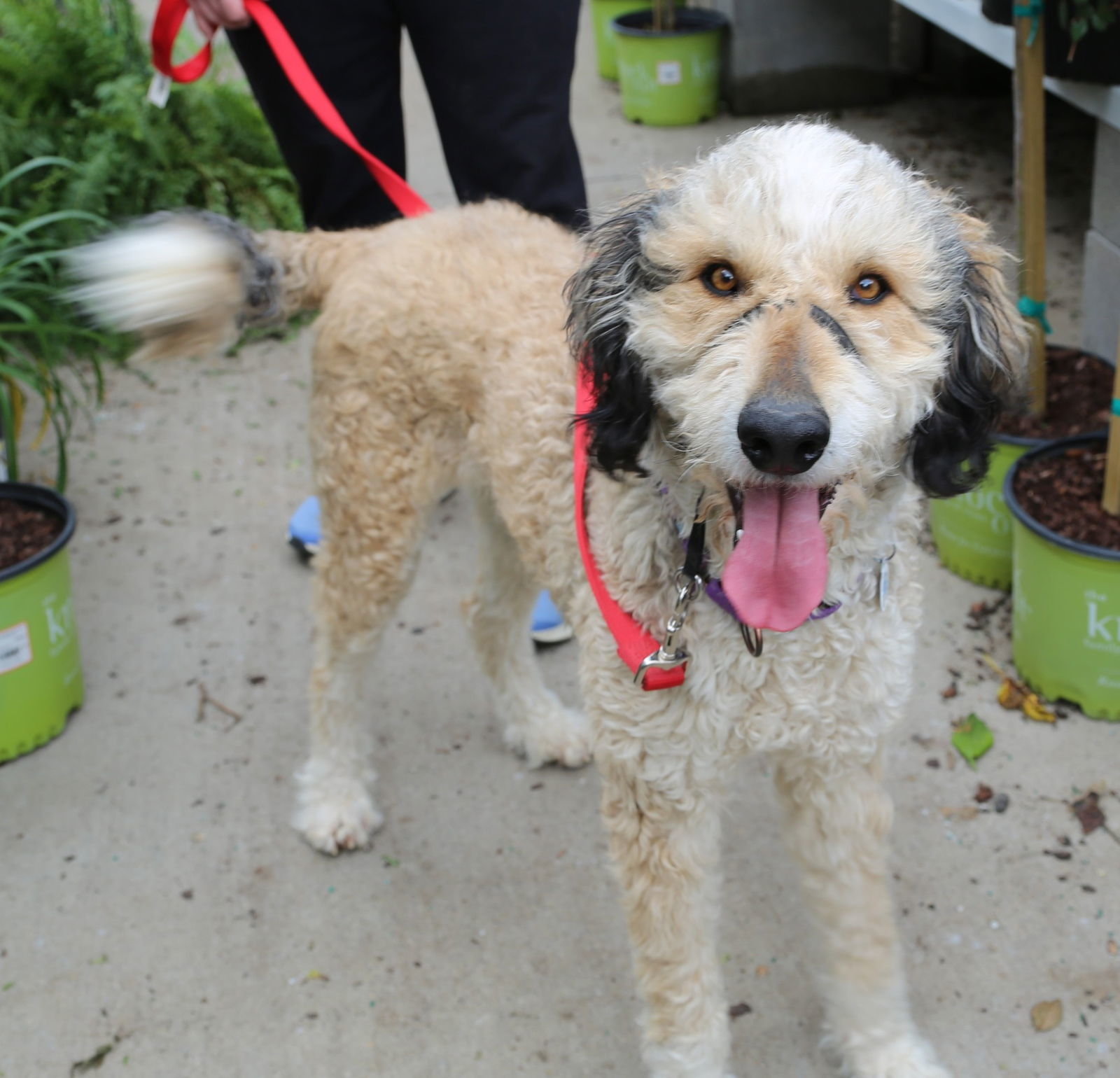 Thor *LOCAL* MEET ME!
