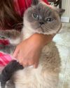 Coco photo 1