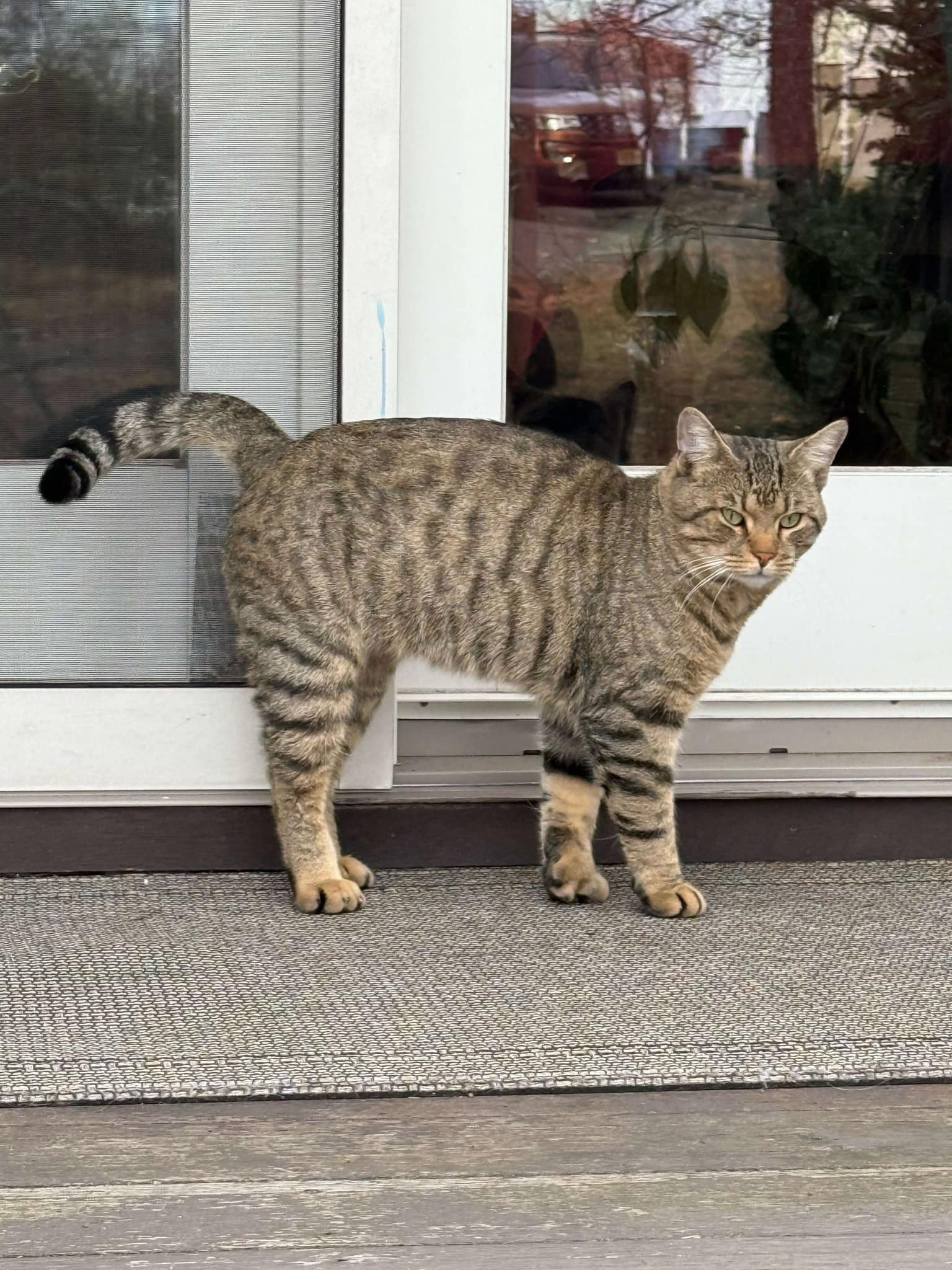 William