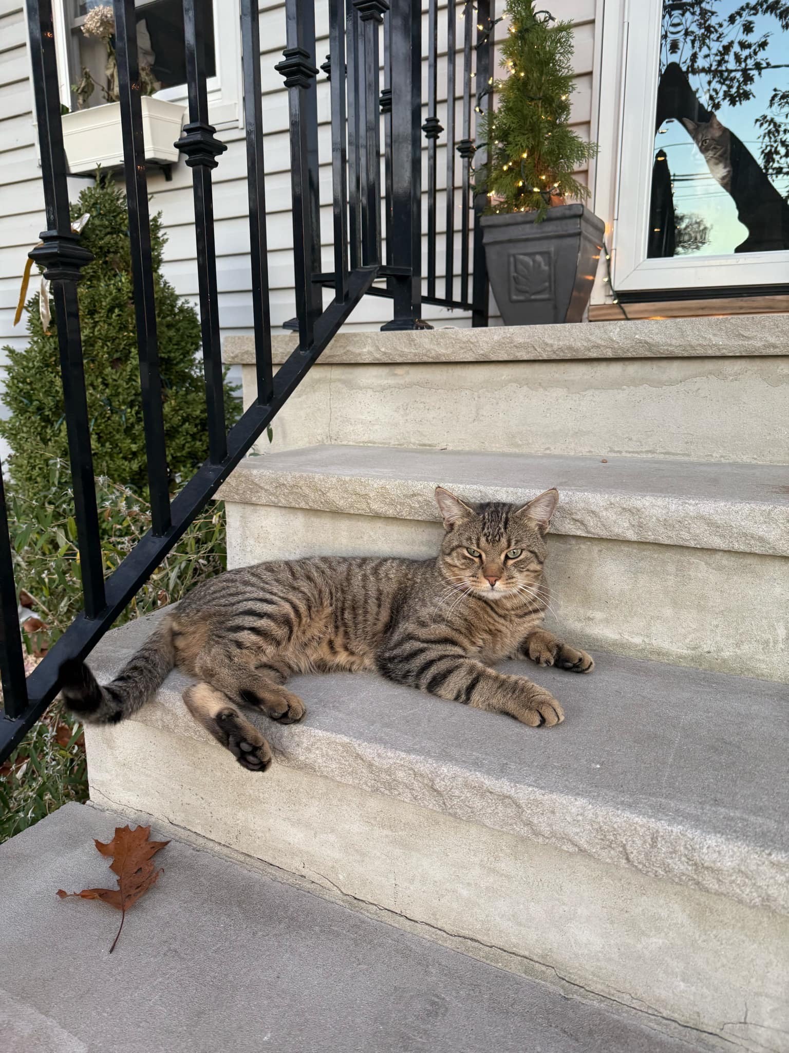 William
