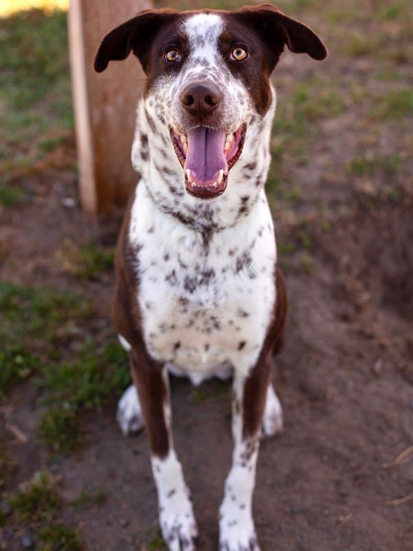 Jake
