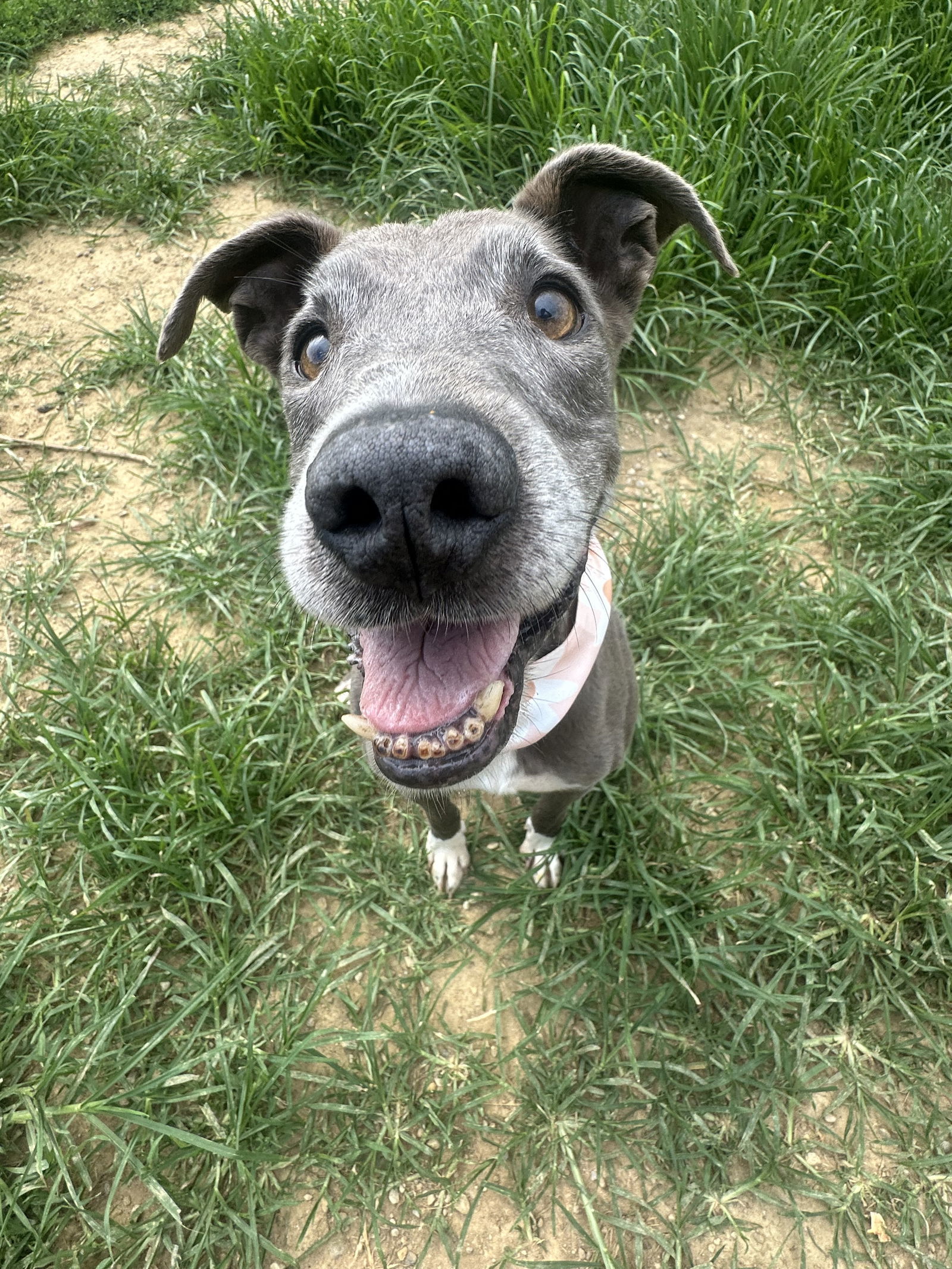 Daisy Jane
