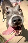 Daisy Jane photo 3
