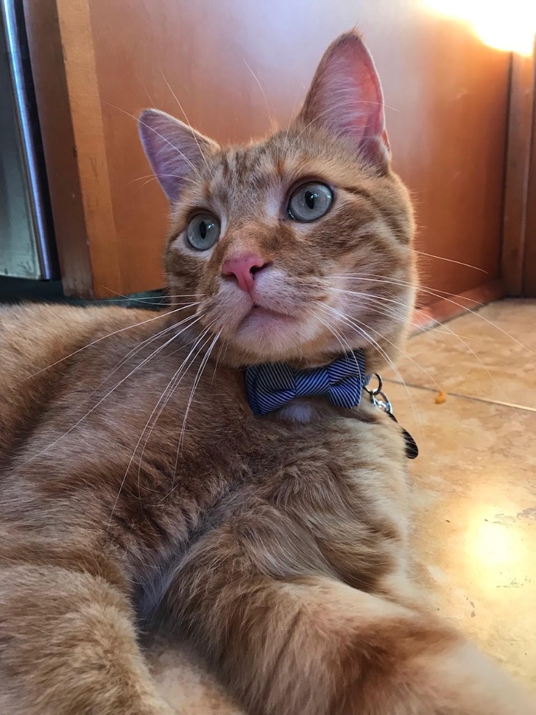 Theo