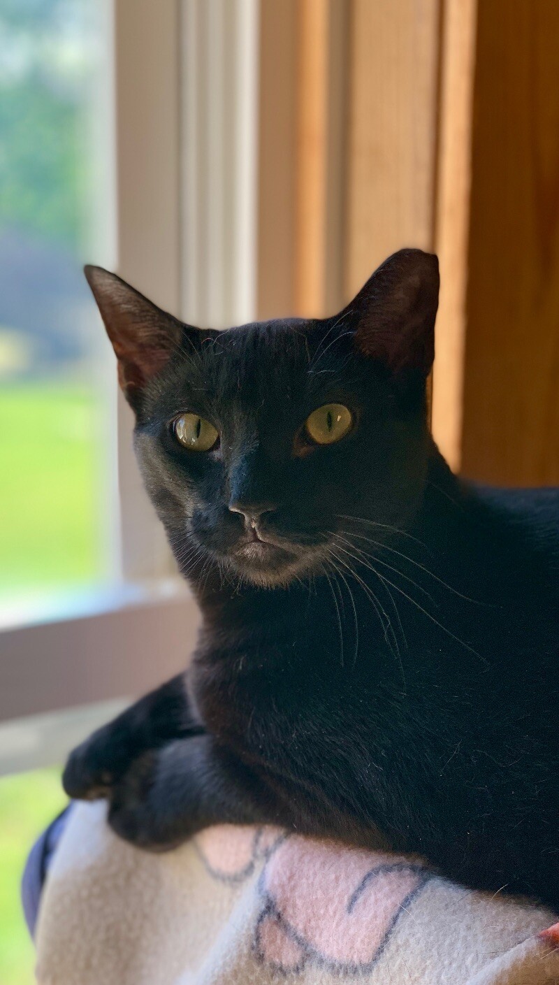Sammy
