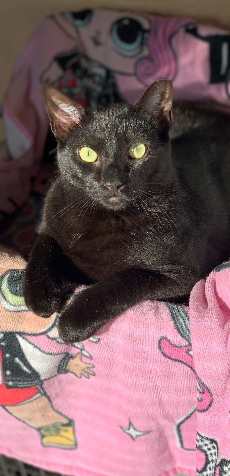 Sammy