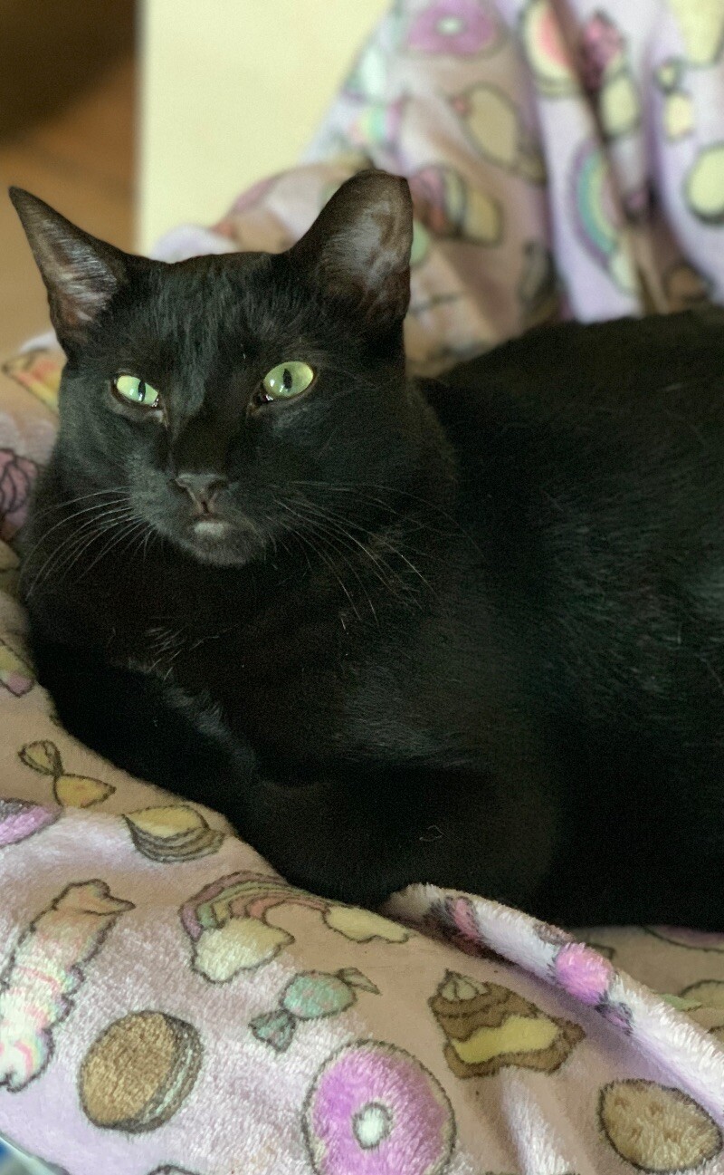 Sammy