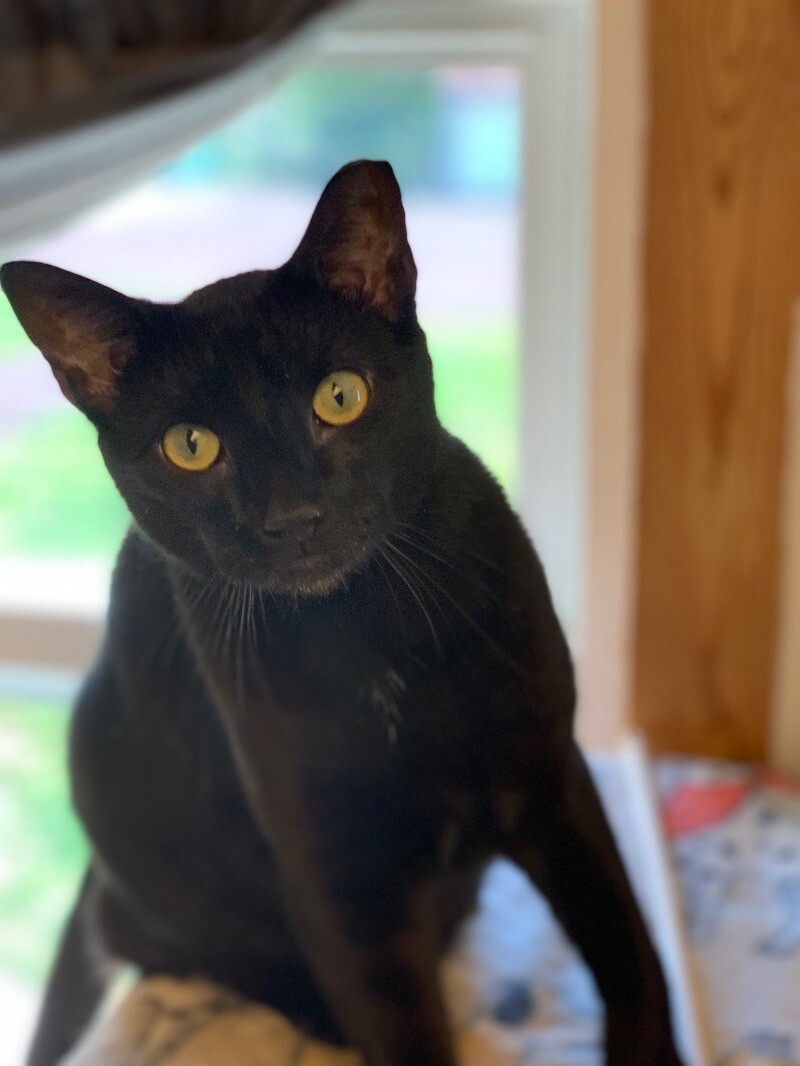 Sammy