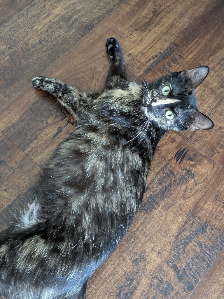 Darla