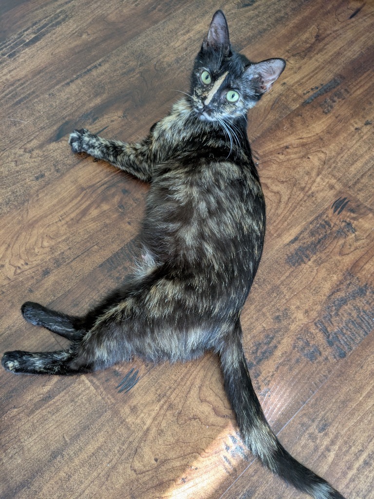 Darla