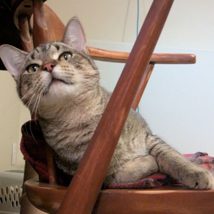 Elroy--In Foster 2