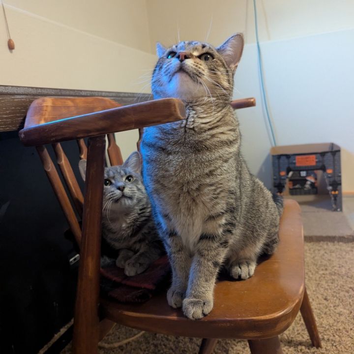 Elroy--In Foster 4