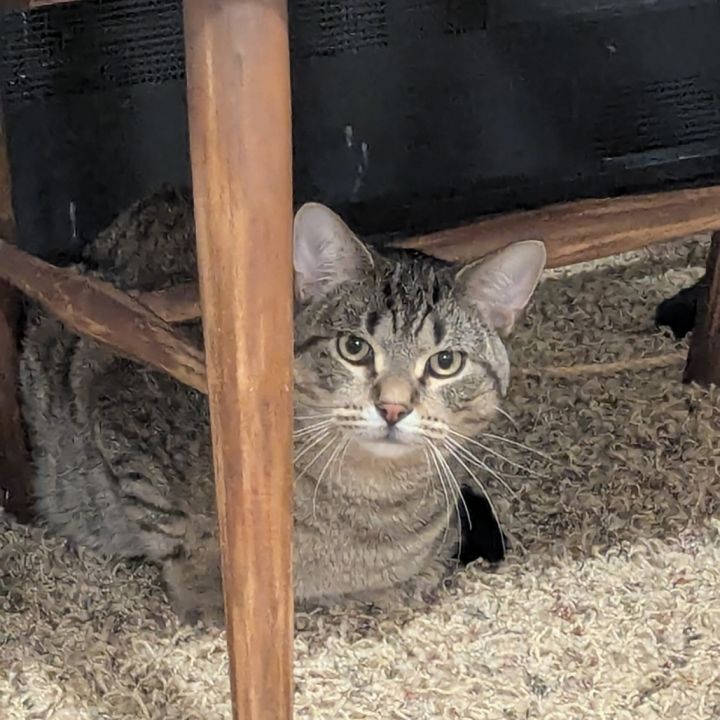 Elroy--In Foster 5
