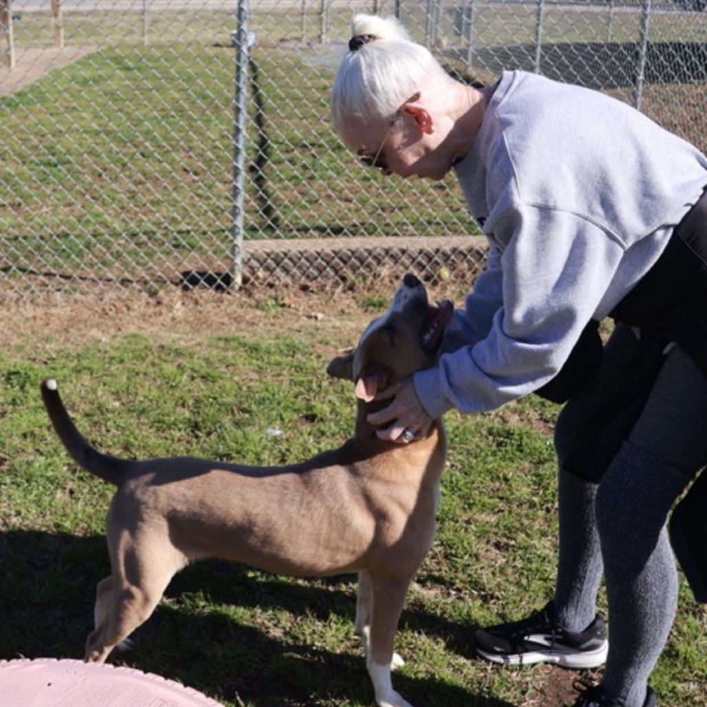 Spongebob(Adoption Fee Sponsored)