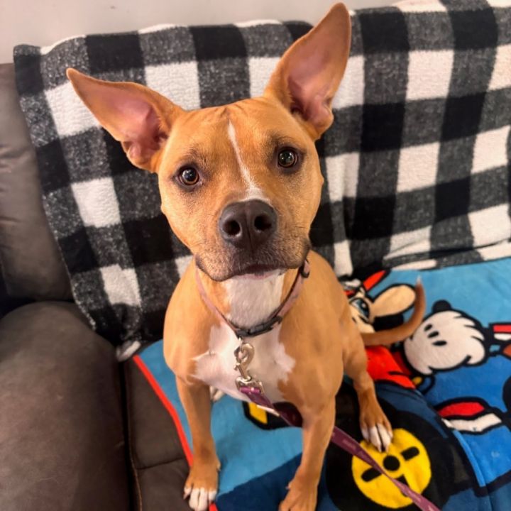 Winnie 2