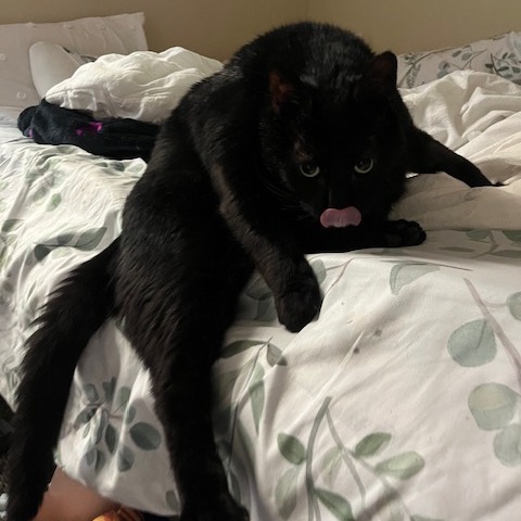 Mookie