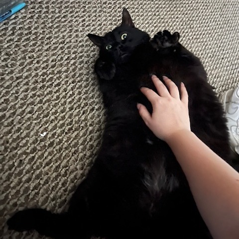 Mookie