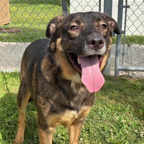 Ranger