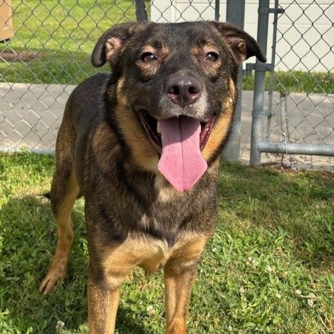 Ranger