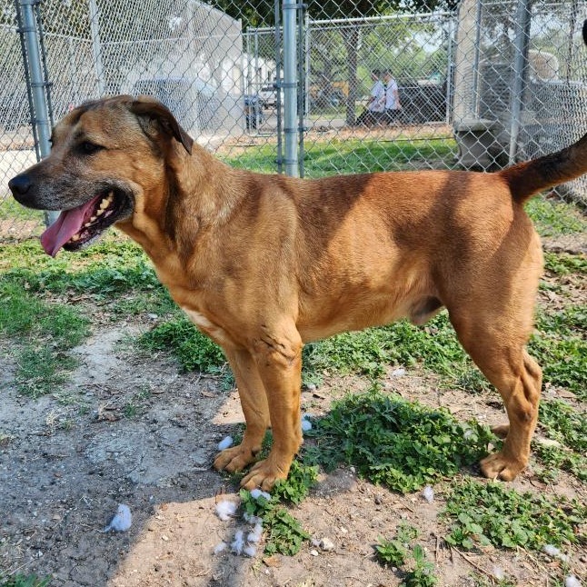Axle