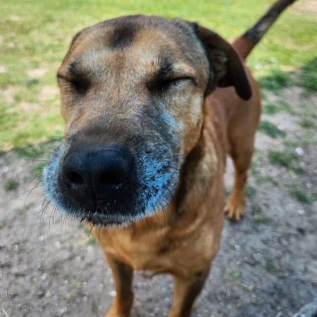 Axle