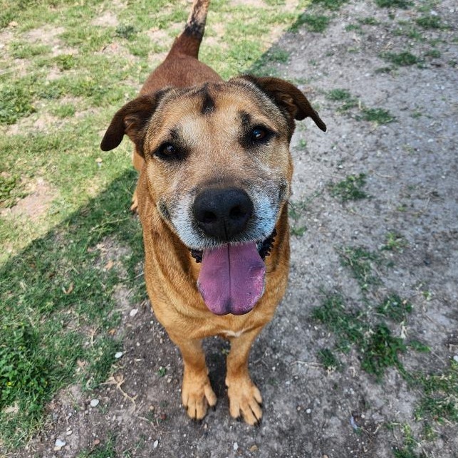 Axle