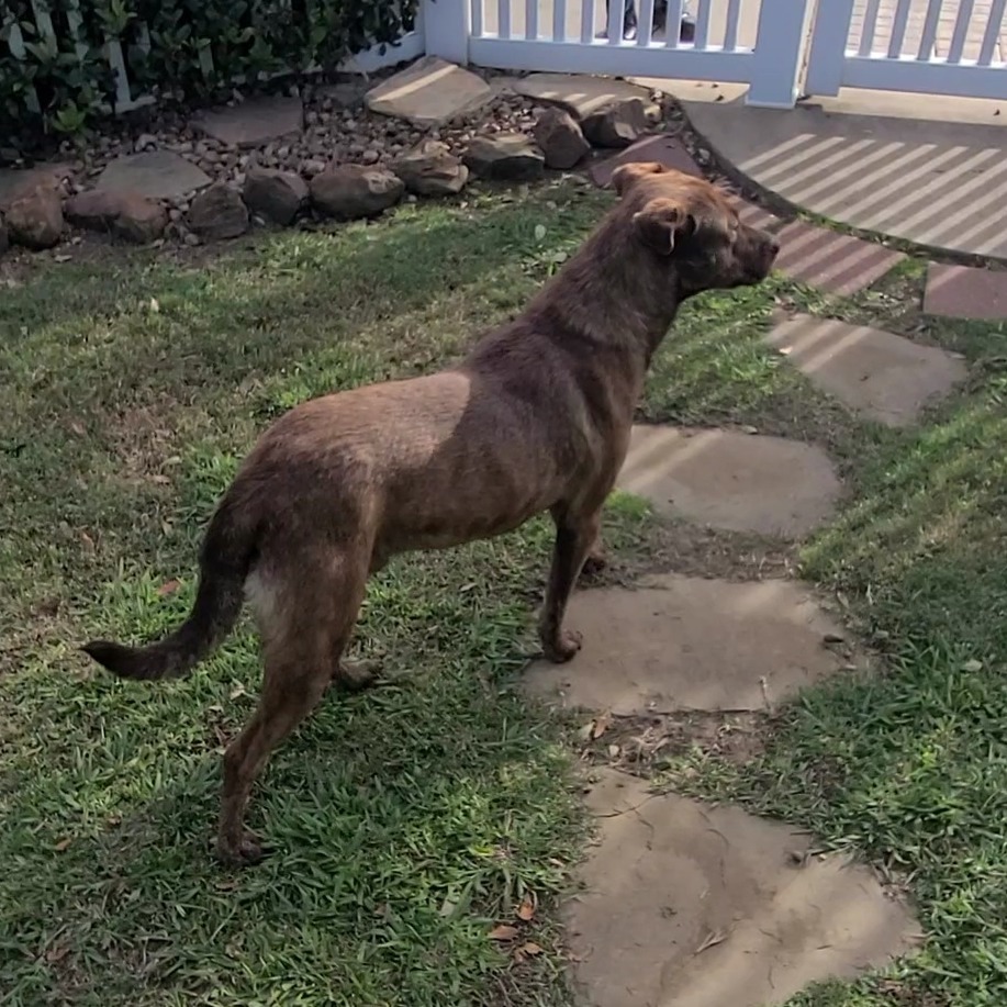 Charlie