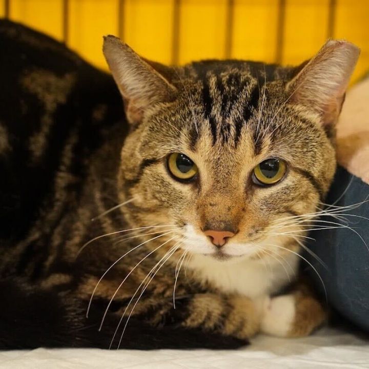 Jonesy 3