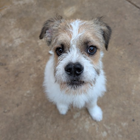 Tillie 5