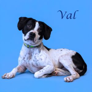 Val D25-072