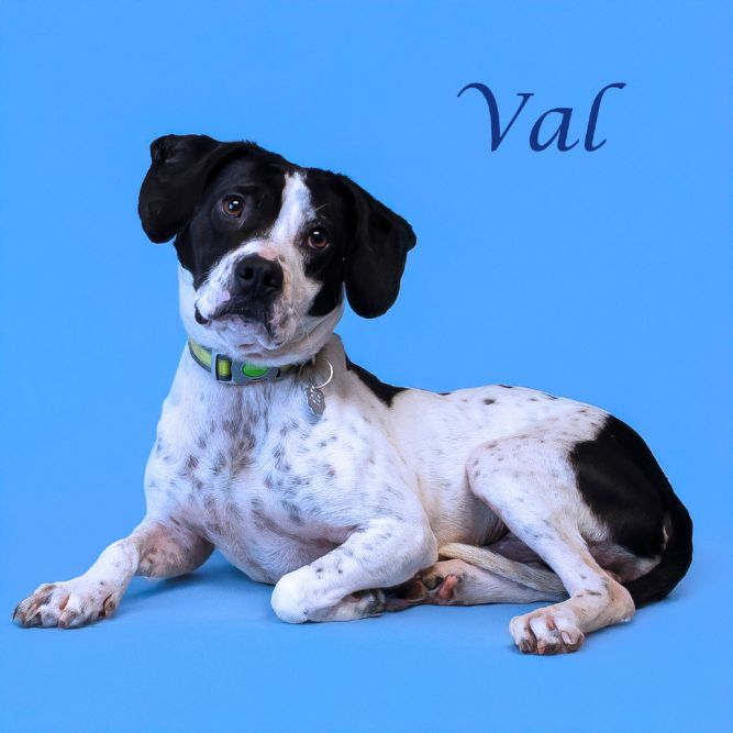 Val D25-072