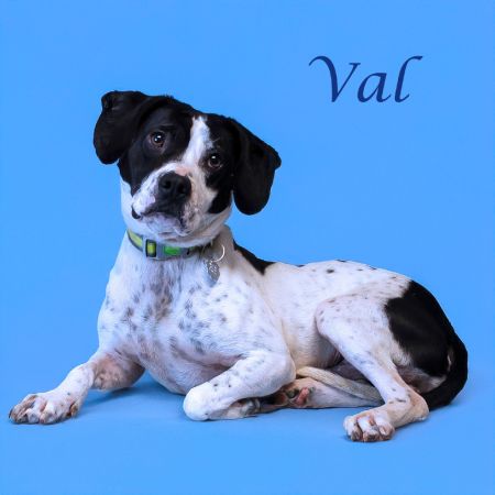 Val D25-072