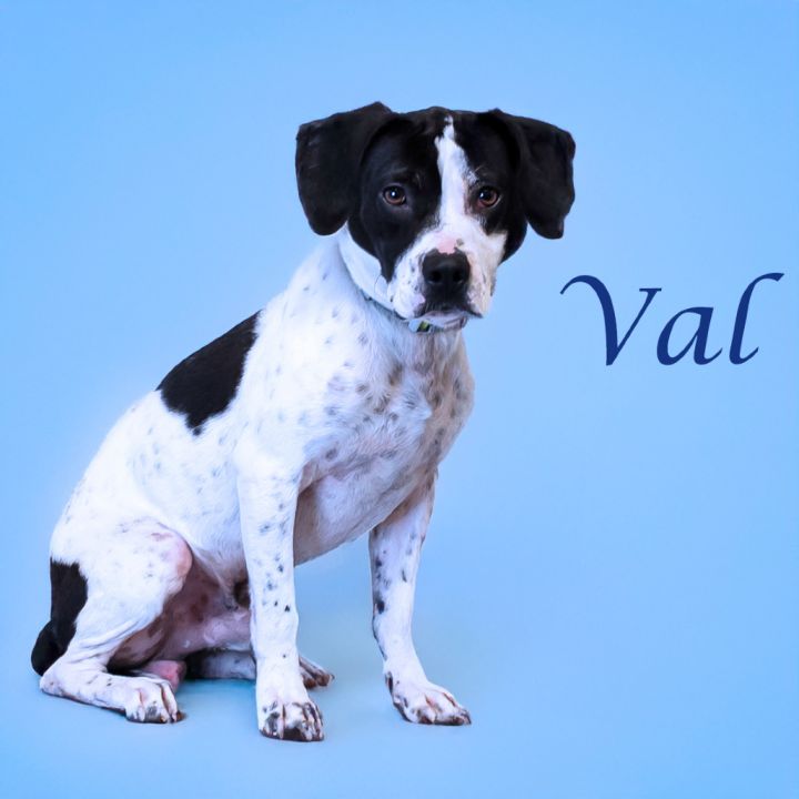 Val D25-072 2