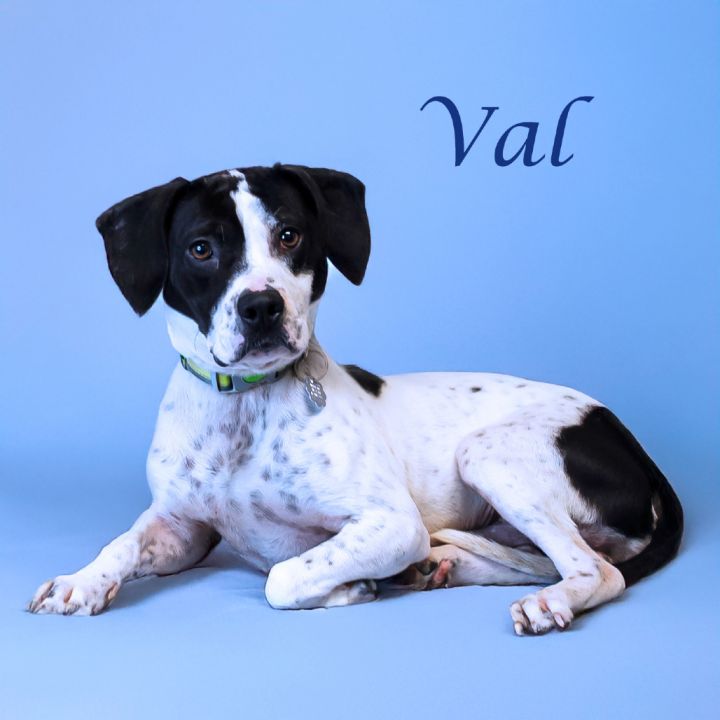 Val D25-072 3