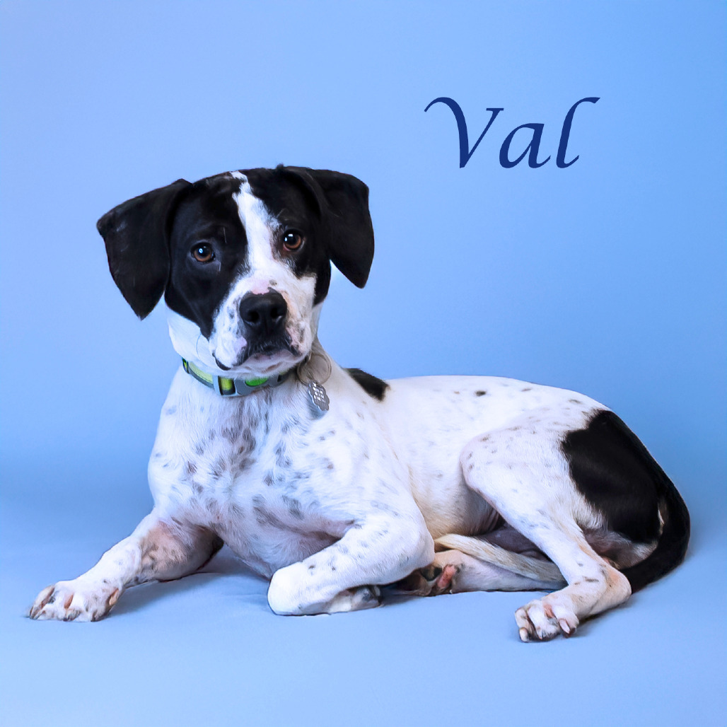 Val D25-072 Photo