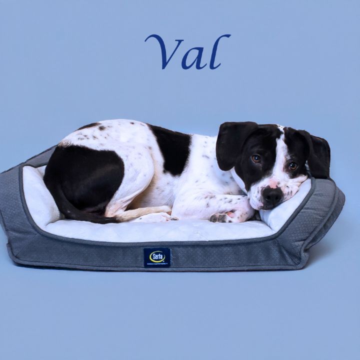 Val D25-072 4